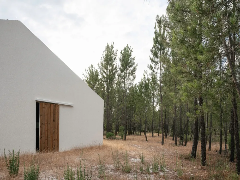 Gable end of the estate framed by umbrella pines.