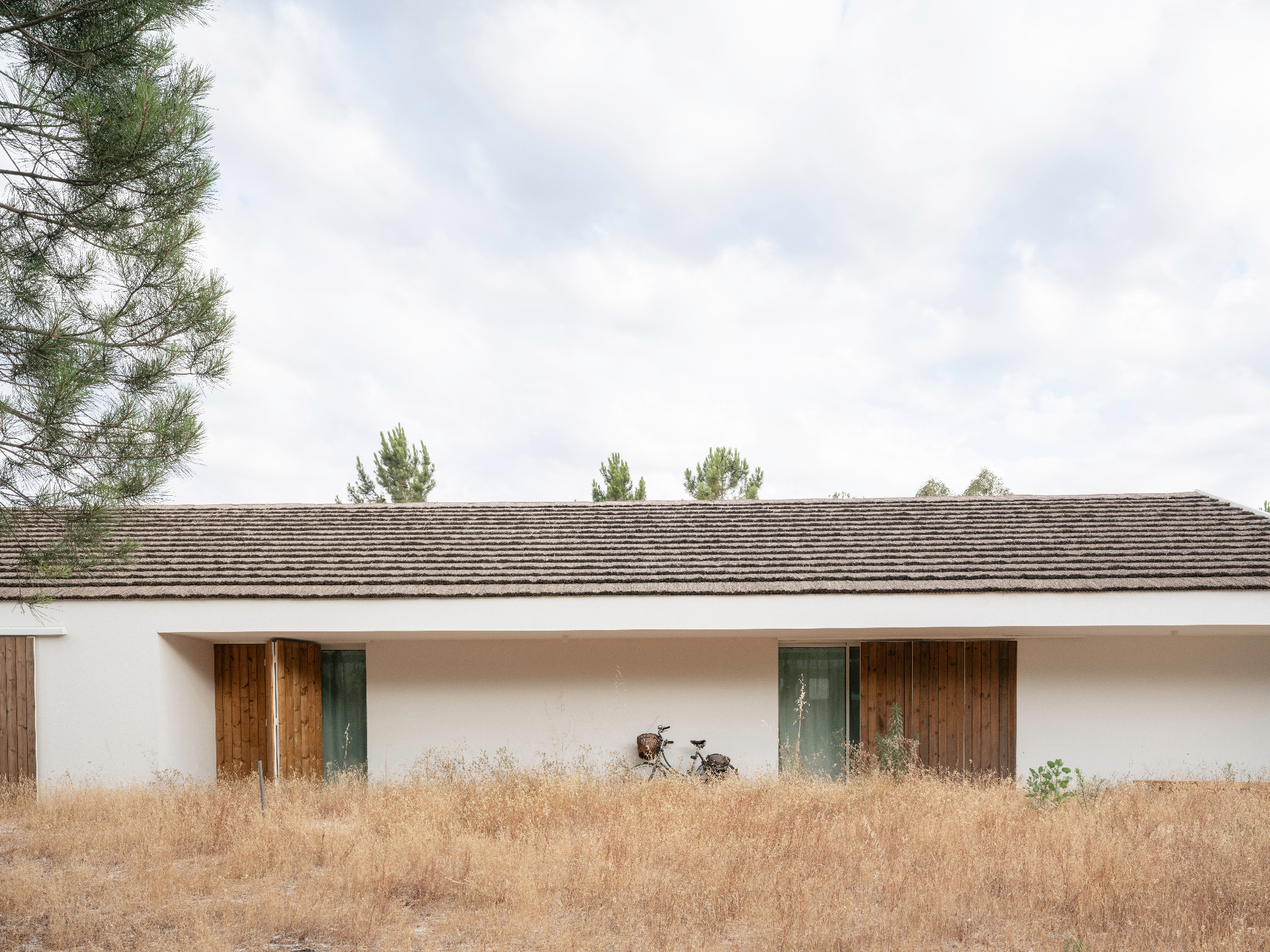 Estate 230 exterior with pinewood and tall grasses.