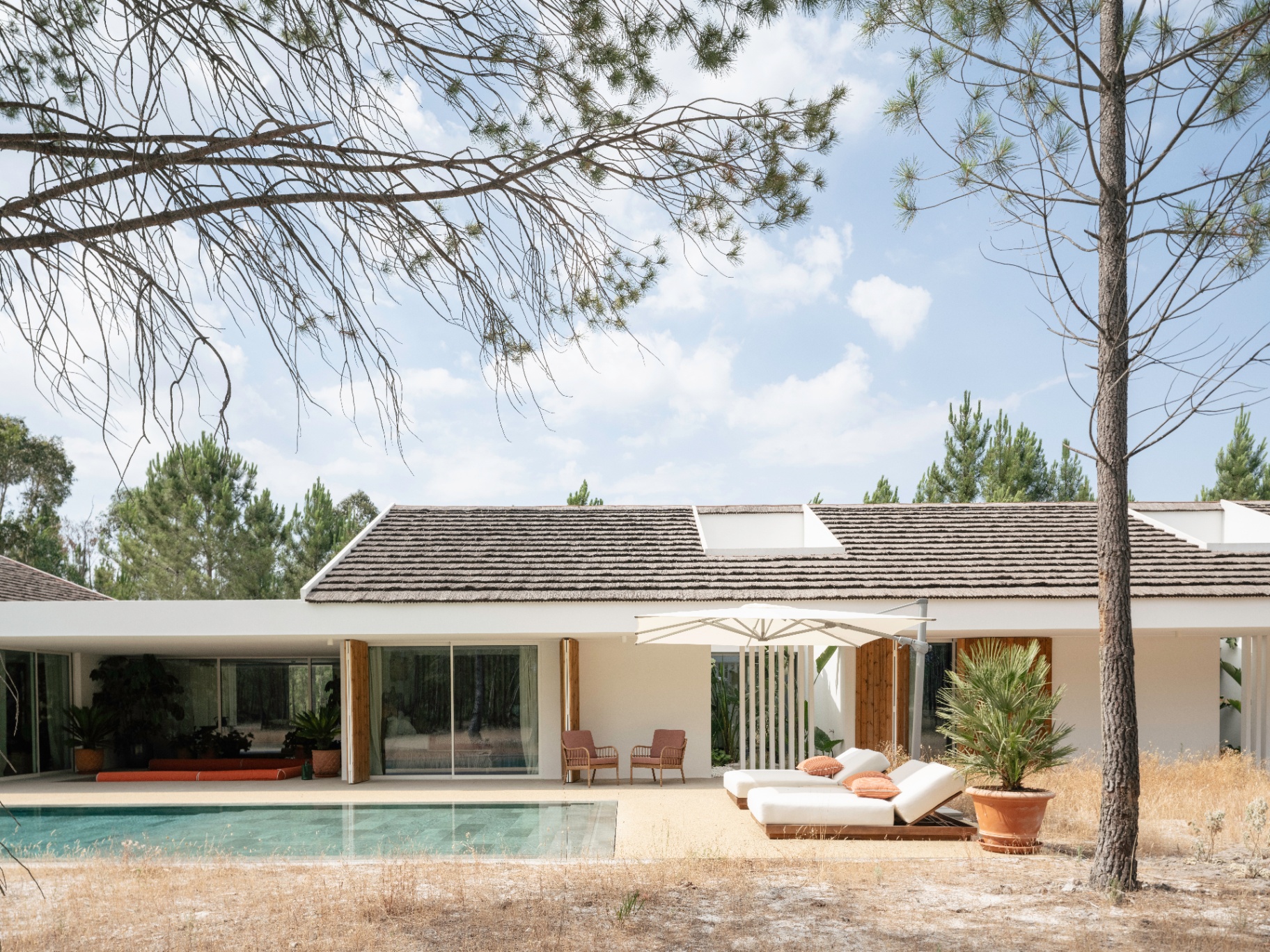 House exterior with pool, shaded terrace and pine trees under a clear sky.