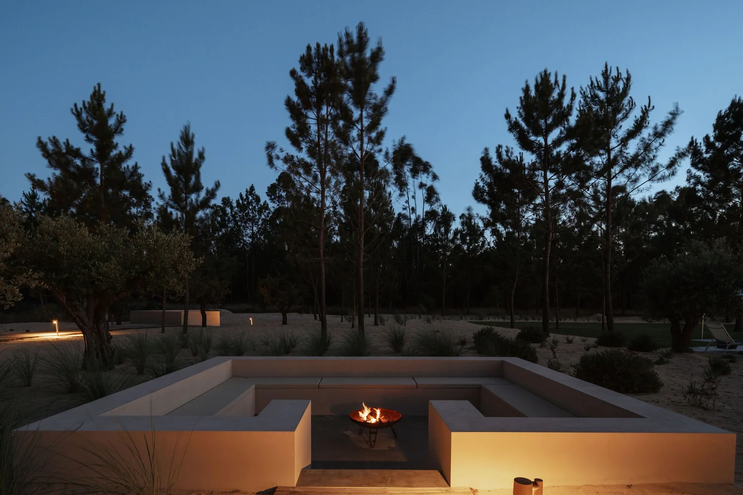 Fire pit lounge at dusk, surrounded by pine trees and soft landscape lighting.